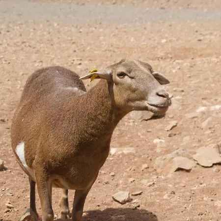 Drago Сasa de vacaciones *